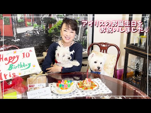 愛犬アイリスの10歳の誕生日をお祝いしました！特製プレート＆ケーキをプレゼント♪