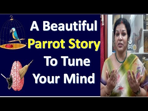 A Beautiful & Inspirational Parrot Story  To Tune Your Mind