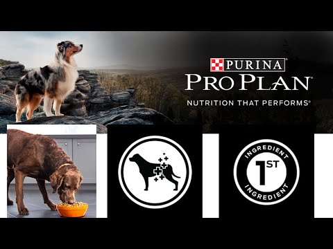 Purina Pro Plan SAVOR Shredded Blend Adult Dry Dog Food