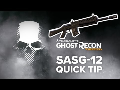 SASG-12 location and info - Ghost Recon Wildlands (quick tip)