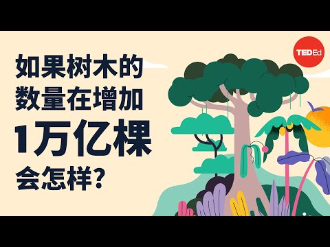 我们能打造“完美”的森林吗？- Jean-François Bastin