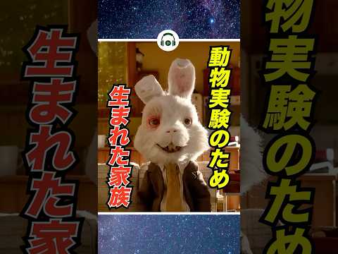 うさぎからの告発