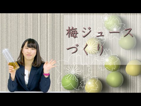 Making plum juice!✿Japanese Food Recipes TV