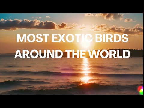 MOST EXOTIC BIRDS IN THE WORLD || @pearlsuniverse02 #birds #trending #facts