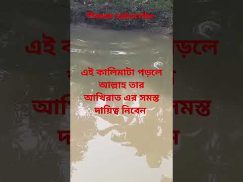 এই কালিমাটা পড়লে আল্লাহ তার আখিরাত এর সমস্ত দায়িত্ব নিবেন🕋🕋🤲🥰🥰❤️🥀😱#shorts #trending #shortsfeed #waz