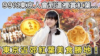 不私藏！東京高尾山紅葉勝地公開！近郊美食一日遊！交通纜車攻略！新宿御苑夜楓點燈活動初體驗！東京自由行｜小蛋花