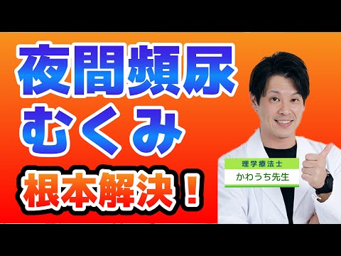 夜間頻尿を自分で改善！！夜間頻尿を治すために、見直した方がいいこと！ ◆夜間頻尿を治す方法 ◆夜トイレで目が覚める対策