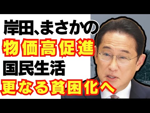 【悲報】岸田政権、物価高の更なる推進を企てている模様。/消費税/緊縮財政/自民党