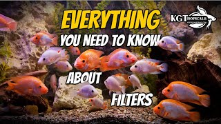 Aquarium Filters Explained, The Good, The Bad and The Ugly