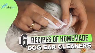 6 Recipes of Homemade Dog Ear Cleaners