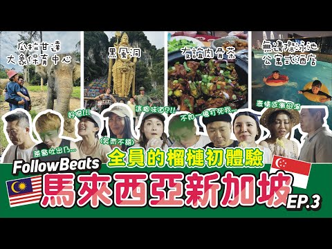 挑戰貓山王榴槤!【馬來西亞-FollowBeats員工旅遊 EP.3】熱門景點-黑風洞 / 瓜拉甘達大象保育中心 / 無邊際泳池公寓市飯店-跟上一間飯店差太多了吧?!!! / 友誼肉骨茶