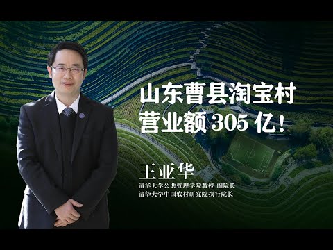 【清华大学】农文旅融合与电商带动！清华教授：中国当代乡村振兴的重要模式