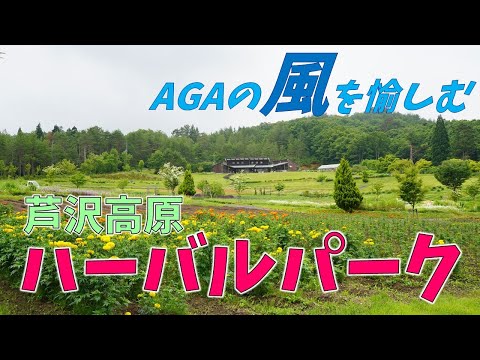 ⭐AGAの風を愉しむ！　芦沢高原ハーバルパーク