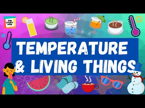 HOW DOES TEMPERATURE AFFECT HUMAN BEINGS AND ANIMALS? | SCIENCE | The Study Pod