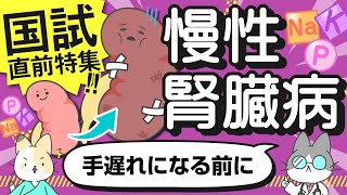 【国試直前特集】慢性腎臓病（CKD）についてまるっと解説！