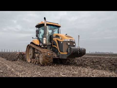 Challenger MT765C & New Holland T7.315 | Soil subsoiling | Roman