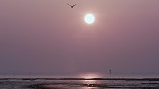 有明海 [Hi-res/4K SAGA] The Ariake Sea