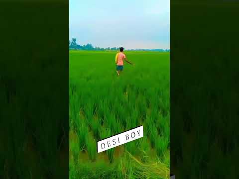 #video #viral #shoat #kisan #shorts #yogeshpatel