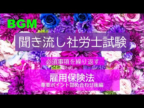 【社労士試験】聞き流し雇用保険法　重要ポイント詰合せ（後編）