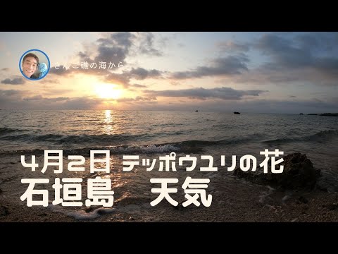 【石垣島天気】4月2日7時ごろ。15秒でわかる今日の石垣島の様子。