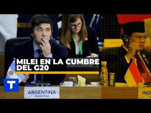 CUMBRE DEL G20: MILEI Y LULA SE SALUDARON CON FRIALDAD AL COMIENZO DEL G20 DE BRASIL