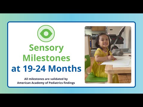 Baby’s Exploratory Skills | 19-24 Month Baby Sensory Milestones