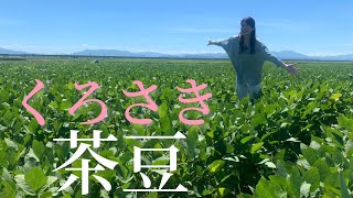 【新潟の夏の定番！】新潟県民はざるいっぱいに食べる…⁈県産枝豆の魅力に迫る【くろさき茶豆】