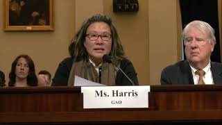 GAO Testimony: Veterans Affairs Need to Address Continuing IT Management Challenges