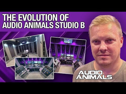 The Evolution Of Audio Animals Studio B