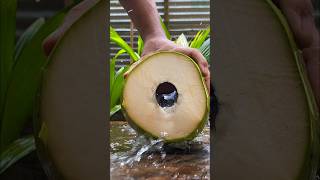 best coconut water #coconutrecipes