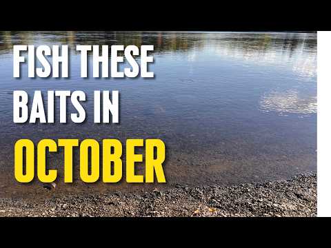 October Bass Fishing Baits: So Anyone Can Catch A Bass