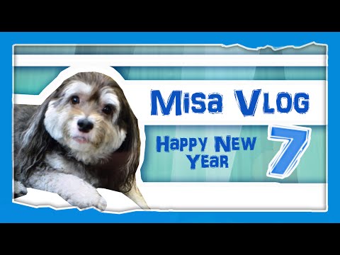 NEW YEARS VLOG - Amp Vlog 7