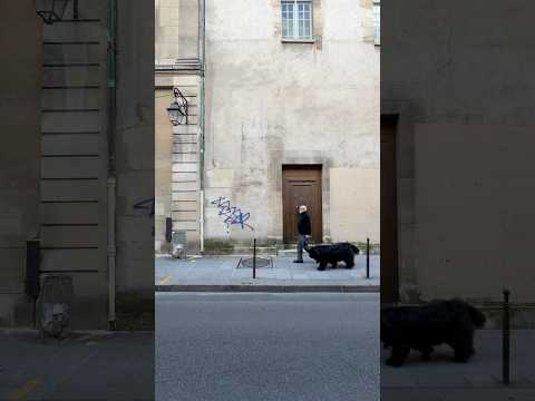 Beautiful Paris’ street life #parisstreet #parisfrance