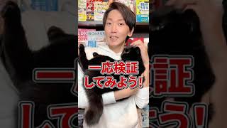 検証：猫は手作りご飯・カリカリ・おやつどれが好き？