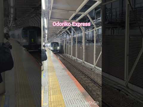 Different Trains in Japan