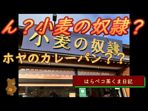 はらペコ茶くま日記　小麦の奴隷　美味しいパン屋さん