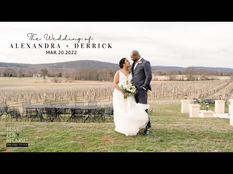 Alex + Derrick: A Wedding FIlm