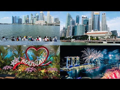 自然之城-有人陪伴 🌳Singapore A city in Nature - Not Alone