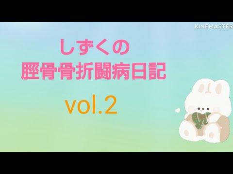 しずくの脛骨骨折闘病日記 vol.2