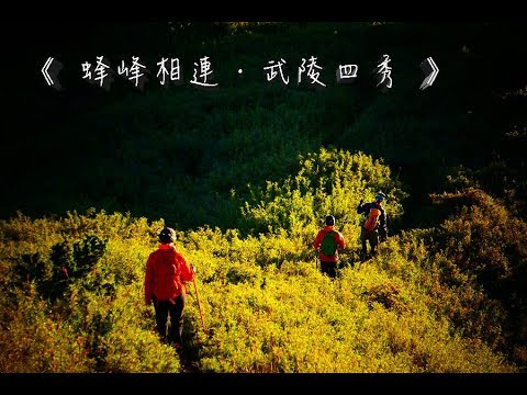 蜂峰相連 | 武陵四秀 | 品田山 | 池有山 | 喀拉業山 | 桃山 | VLOG | 登山 | 蜂百岳 | 馳峰戶外