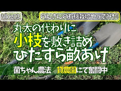 女ひとりで、有機栽培　菌ちゃん農法　貸農園でやってみた｜丸太の代わりに小枝を敷き詰め　ひたすら畝を高くする　畝上げ 　のんさんの有機栽培やってみた Vlog 03