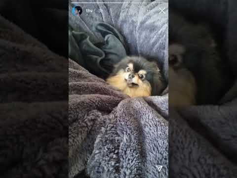 Taehyung Yeontan Story