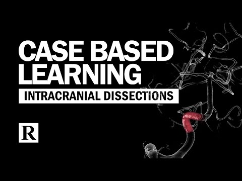 Constructing Case Based Learning: Intracranial Dissections