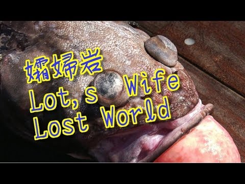 孀婦岩  Sōfu Gan  Lot's Wife  伊豆諸島　東京都　650キロ　深海魚　ロスワ