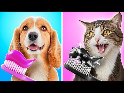 Cheap vs Expensive Pet Gadgets 🦄 Rich Good Dog vs Bad Poor Cat! By 123 GO!