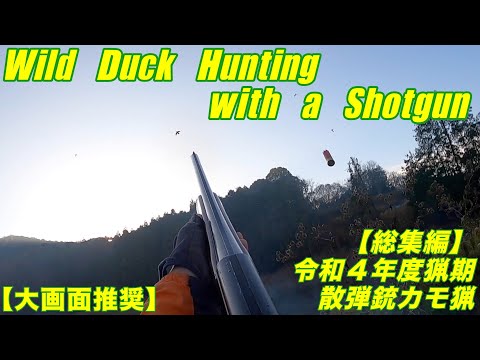 令和4年度猟期 散弾銃カモ猟 総集編 Wild Duck Hunting with a Shotgun