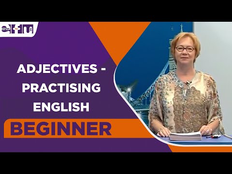 Beginner Level | Adjectives - Practising English | English For You