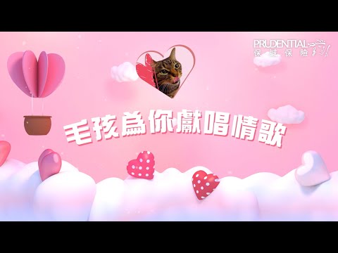 【🔔 聽著毛孩說愛你🎼 得獎毛孩公佈🏆🥳】