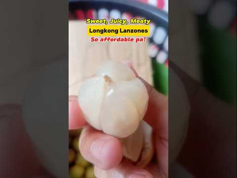 Sweet, Juicy and Meaty Longkong Lanzones! Fresh na fresh and so affordable pa. #lanzones #longkong