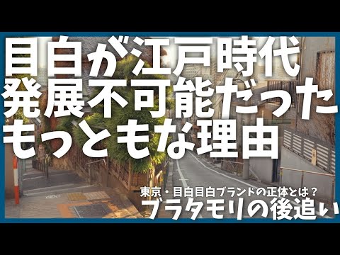 【前編】ブラタモリ「目白ブランドの正体とは？」を後追い【歴史】【坂】【タモリ】【神田川】【目白】【大名】【解説】